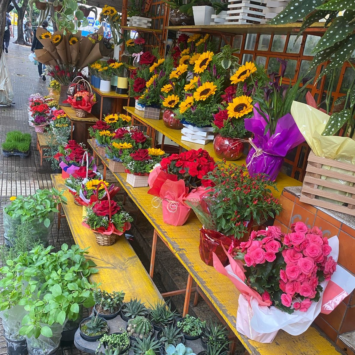 Márcia na floricultura