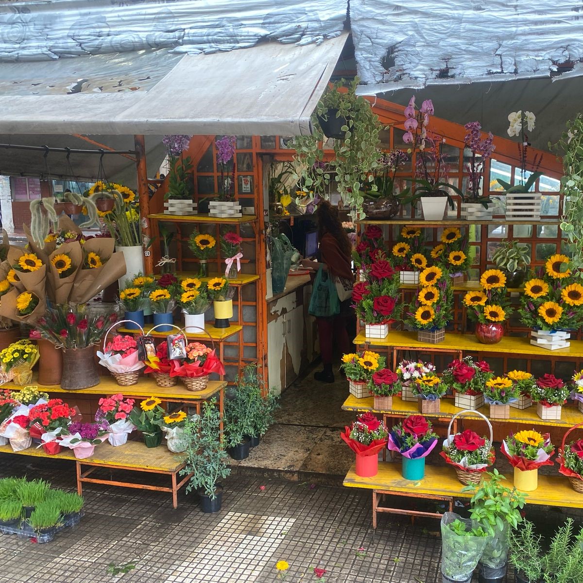 Márcia cuidando das flores